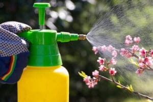 insecticidal soap