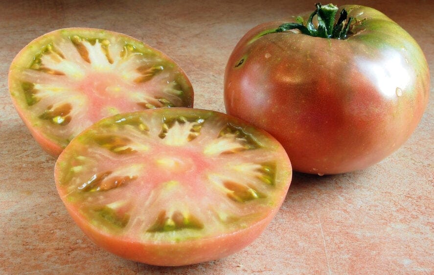 cherokee purple tomato