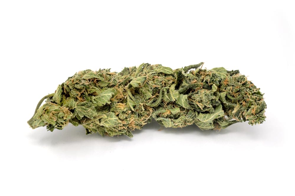 blue cheese marijuana