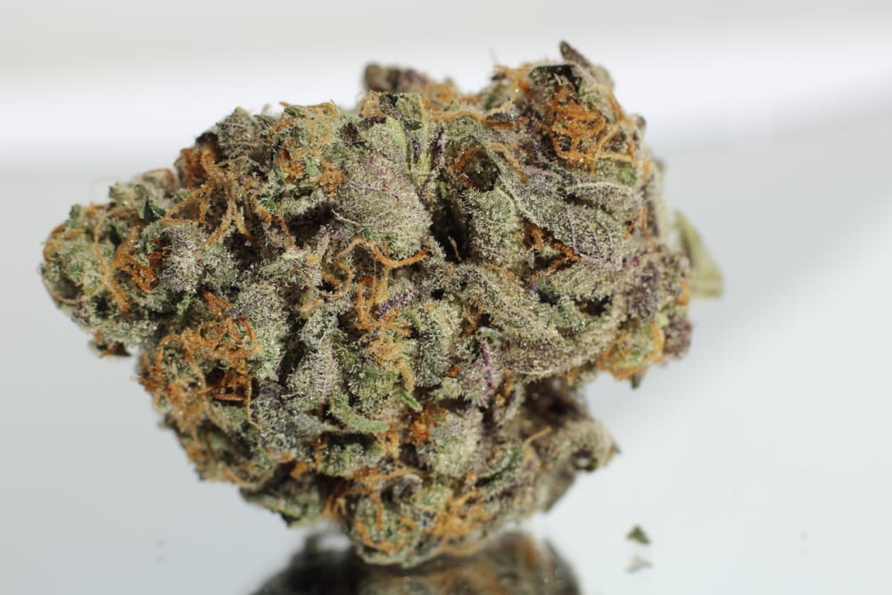 banana kush marijuana