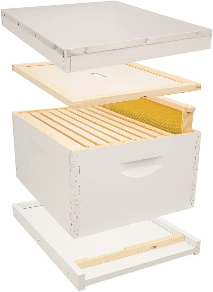 Mann Lake Complete Beehive