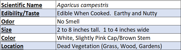 Field Mushroom Data