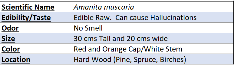 Fly Agaric Mushroom Data