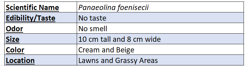 Banded Mottelgill Mushroom Data