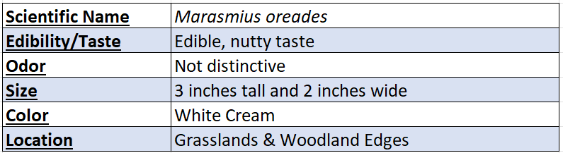 fairy ring mushroom data