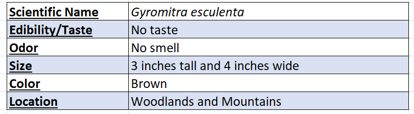 false morel mushroom data