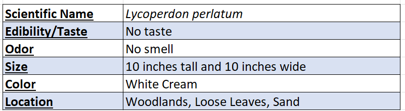 puffball mushroom data