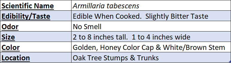 ringless honey mushroom data