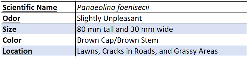 Panaeolina Foenisecii Chart
