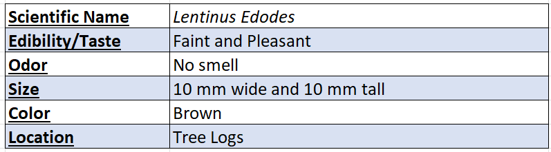 Shiitake Mushroom Data