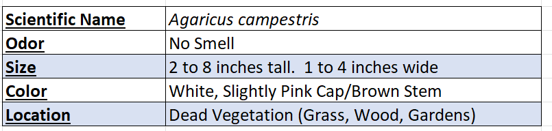 Field Mushroom Chart