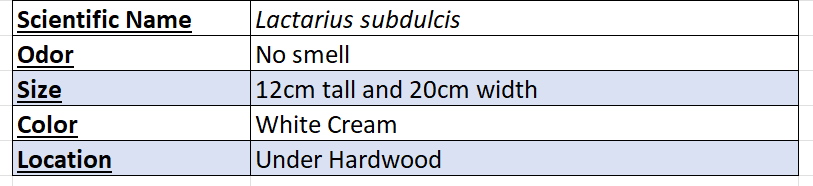 Milkcap Mushroom Chart
