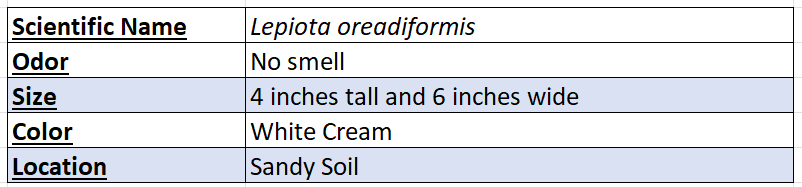 dapperling mushroom chart