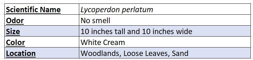 puffball mushroom chart