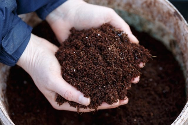 Compost for Tomato Plants